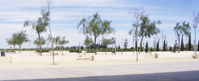 Proyecto de ordenación urbanística y paisajismo urbano
